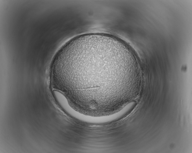 X0000097671415200803211932