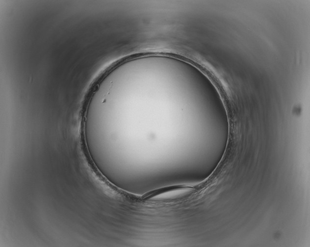 X0000097671416200803211932