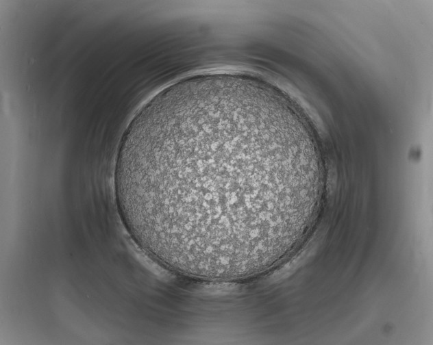 X0000097671417200803211932