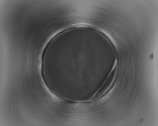 X0000097671418200803211932