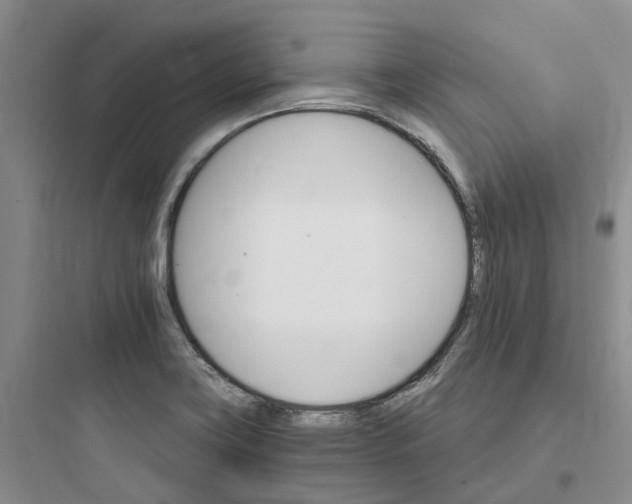 X0000097671419200803211932
