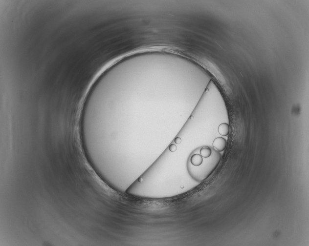 X0000097671420200803211932