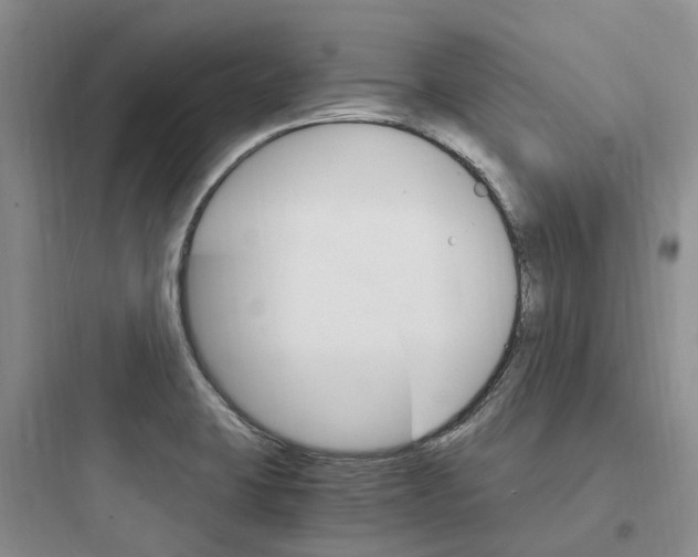 X0000097671423200803211932