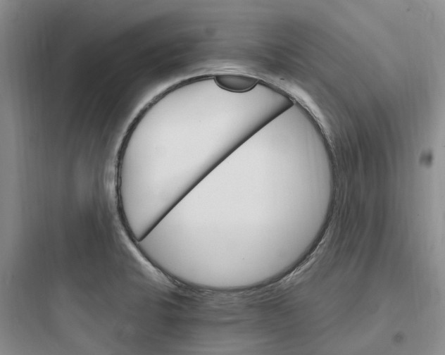 X0000097671424200803211932