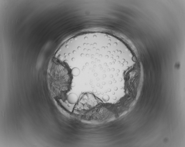 X0000097671425200803211932