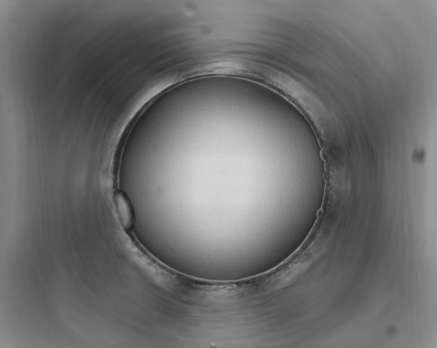 X0000097671426200803211932