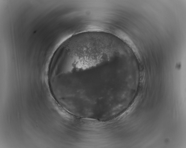 X0000097671427200803211932