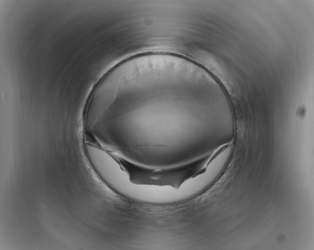 X0000097671428200803211932