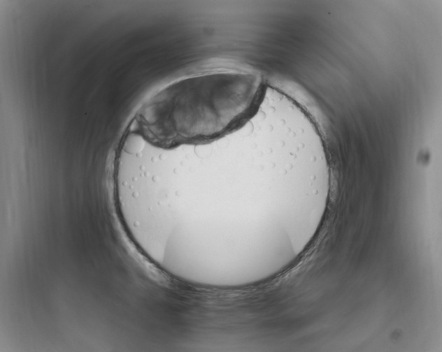 X0000097671431200803211932