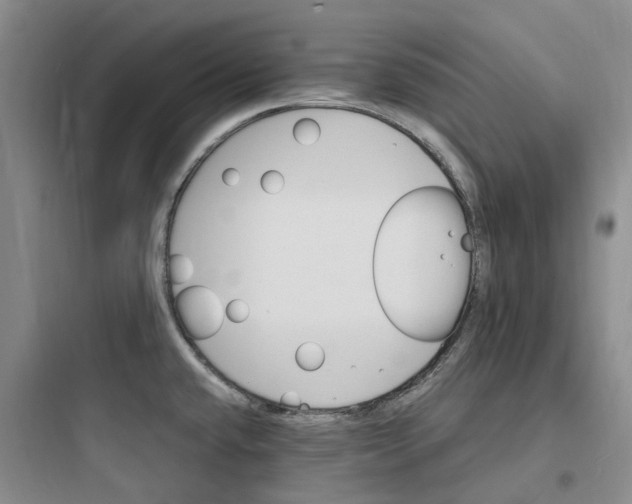 X0000097671432200803211932