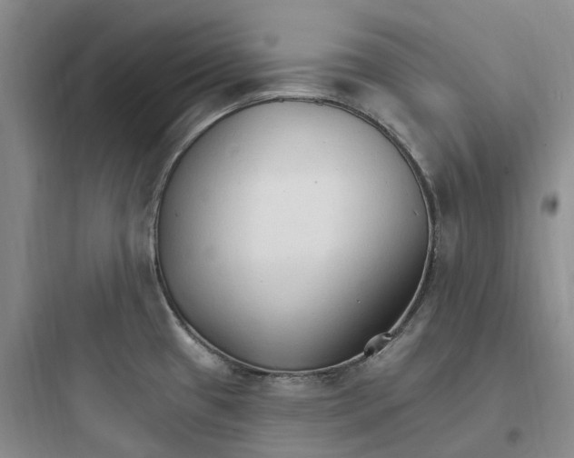 X0000097671433200803211932
