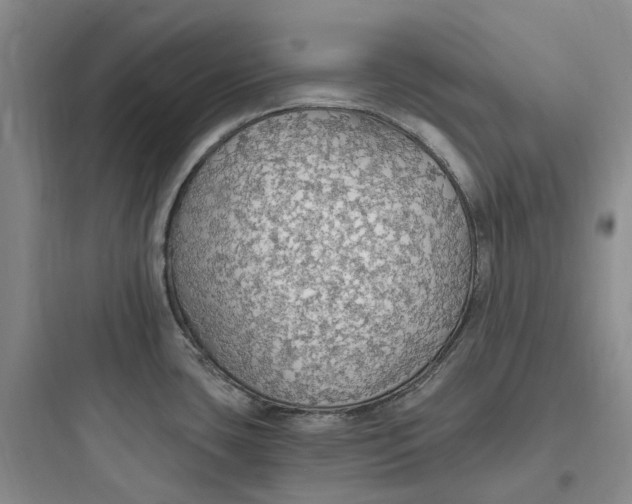 X0000097671435200803211932