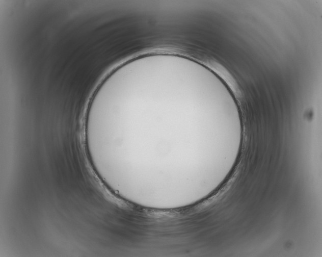 X0000097671436200803211932