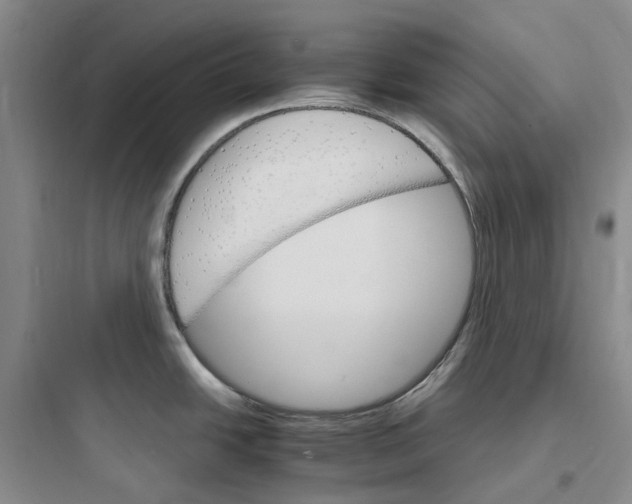 X0000097671438200803211932