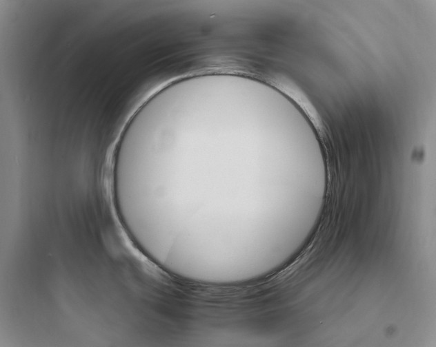 X0000097671439200803211932