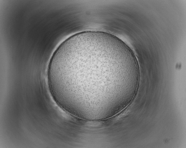 X0000097671440200803211932
