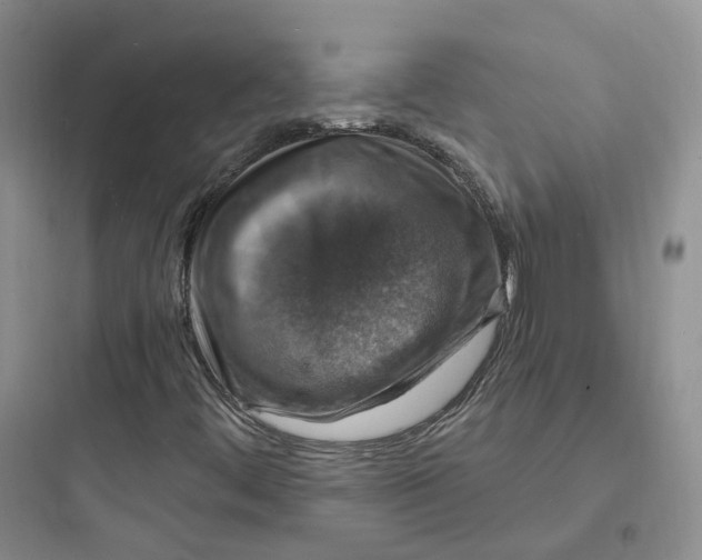 X0000097671444200803211931