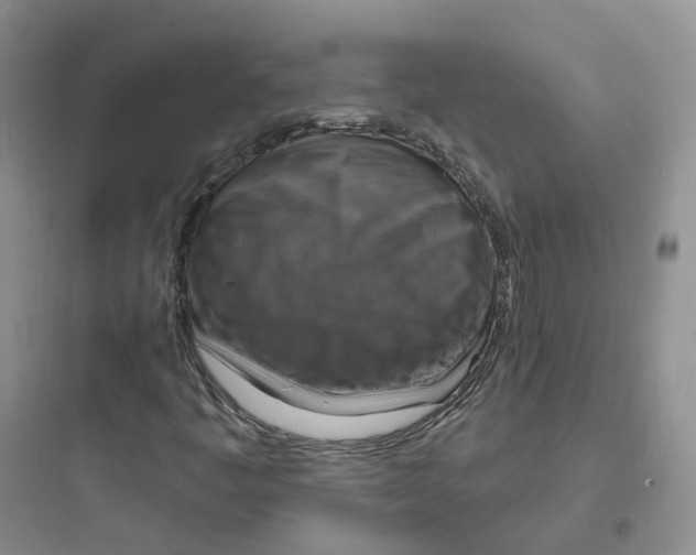 X0000097671445200803211931