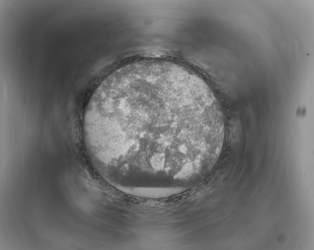 X0000097671446200803211931