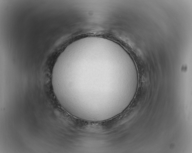 X0000097671447200803211931