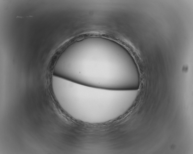 X0000097671448200803211931