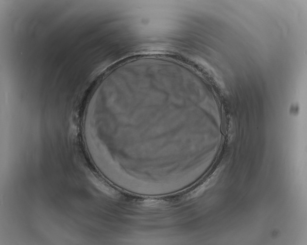 X0000097671449200803211931