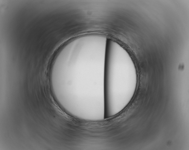 X0000097671450200803211931