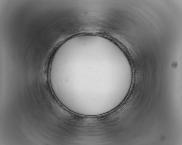 X0000097671451200803211931