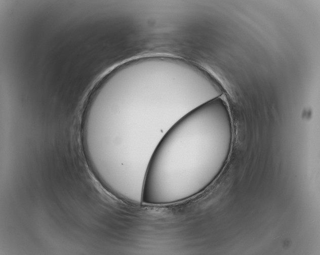 X0000097671452200803211931