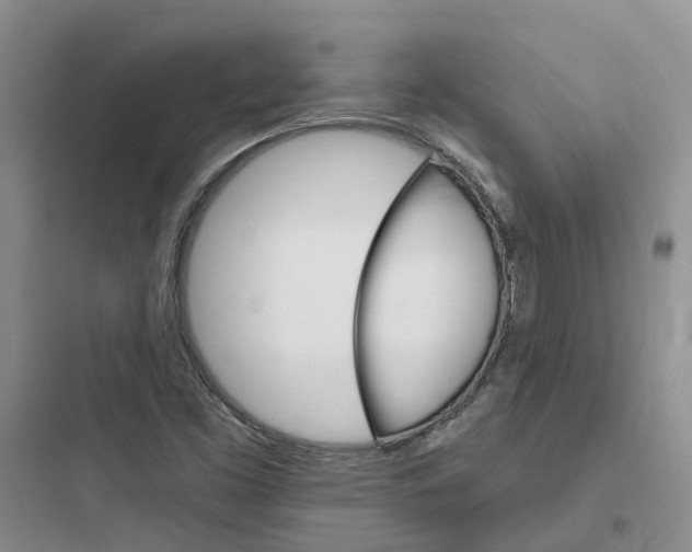 X0000097671453200803211931