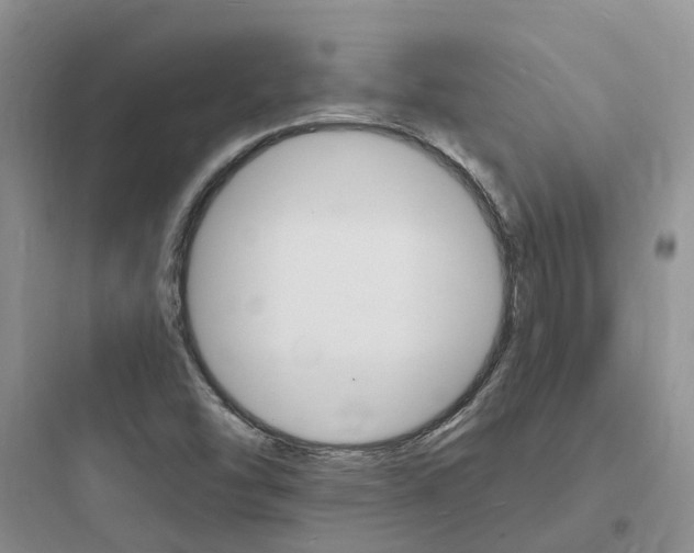 X0000097671454200803211931