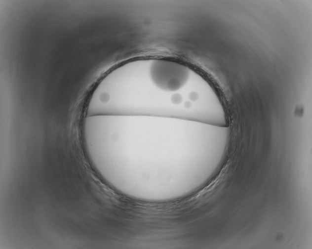 X0000097671455200803211931