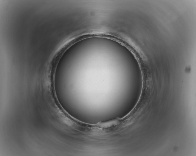 X0000097671456200803211931