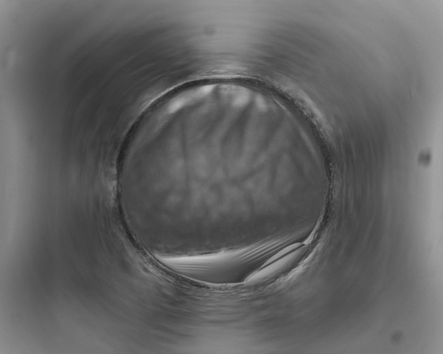 X0000097671457200803211931