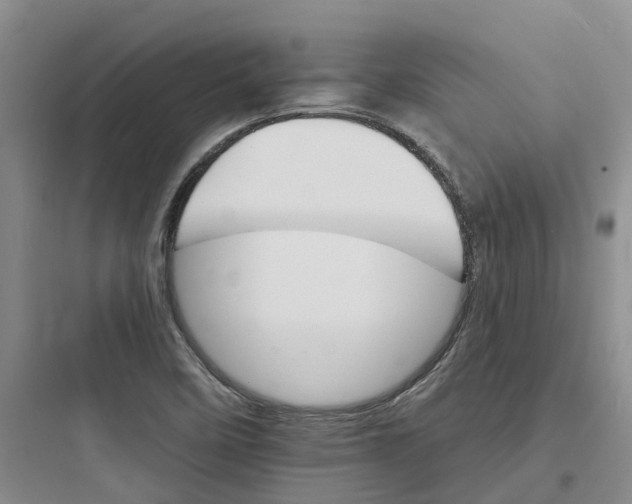 X0000097671458200803211931