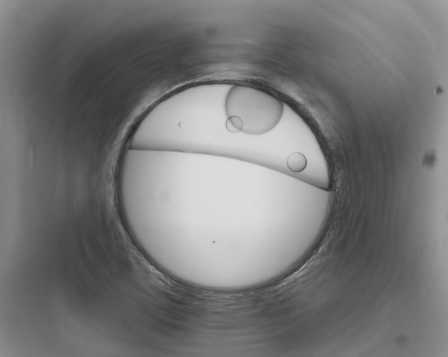X0000097671459200803211931