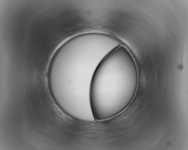 X0000097671460200803211931