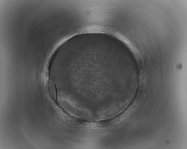 X0000097671461200803211931