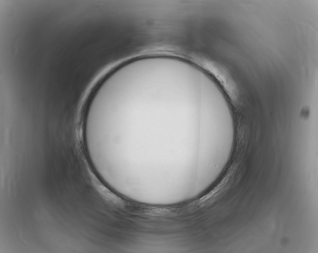 X0000097671462200803211931