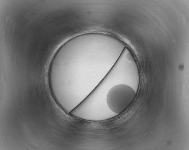 X0000097671463200803211931