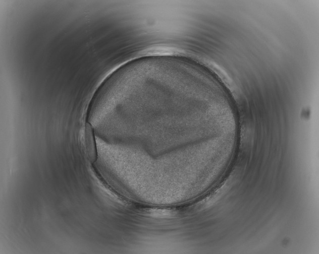 X0000097671465200803211931
