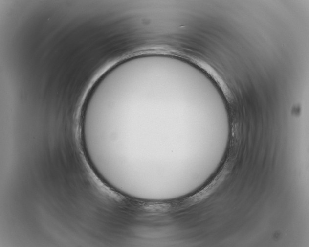 X0000097671466200803211931