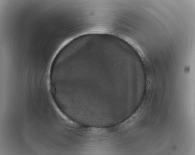 X0000097671469200803211931