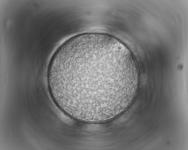 X0000097671470200803211931