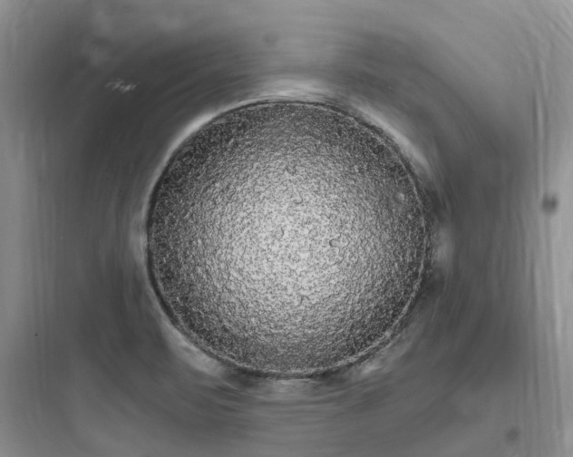 X0000097671471200803211931