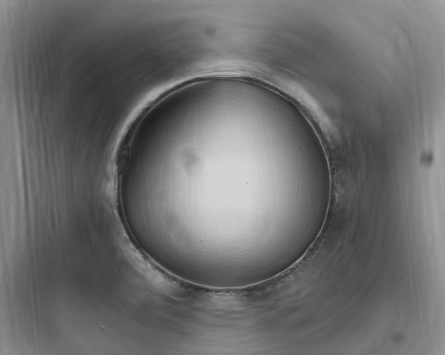 X0000097671472200803211931