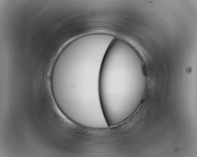 X0000097671476200803211931