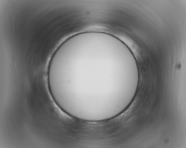 X0000097671478200803211931