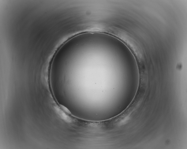 X0000097671480200803211931