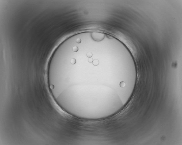 X0000097671482200803211931